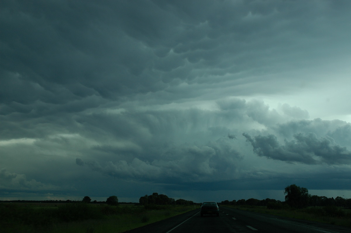 mammatus mammatus_cloud : near Moree, NSW   27 December 2004