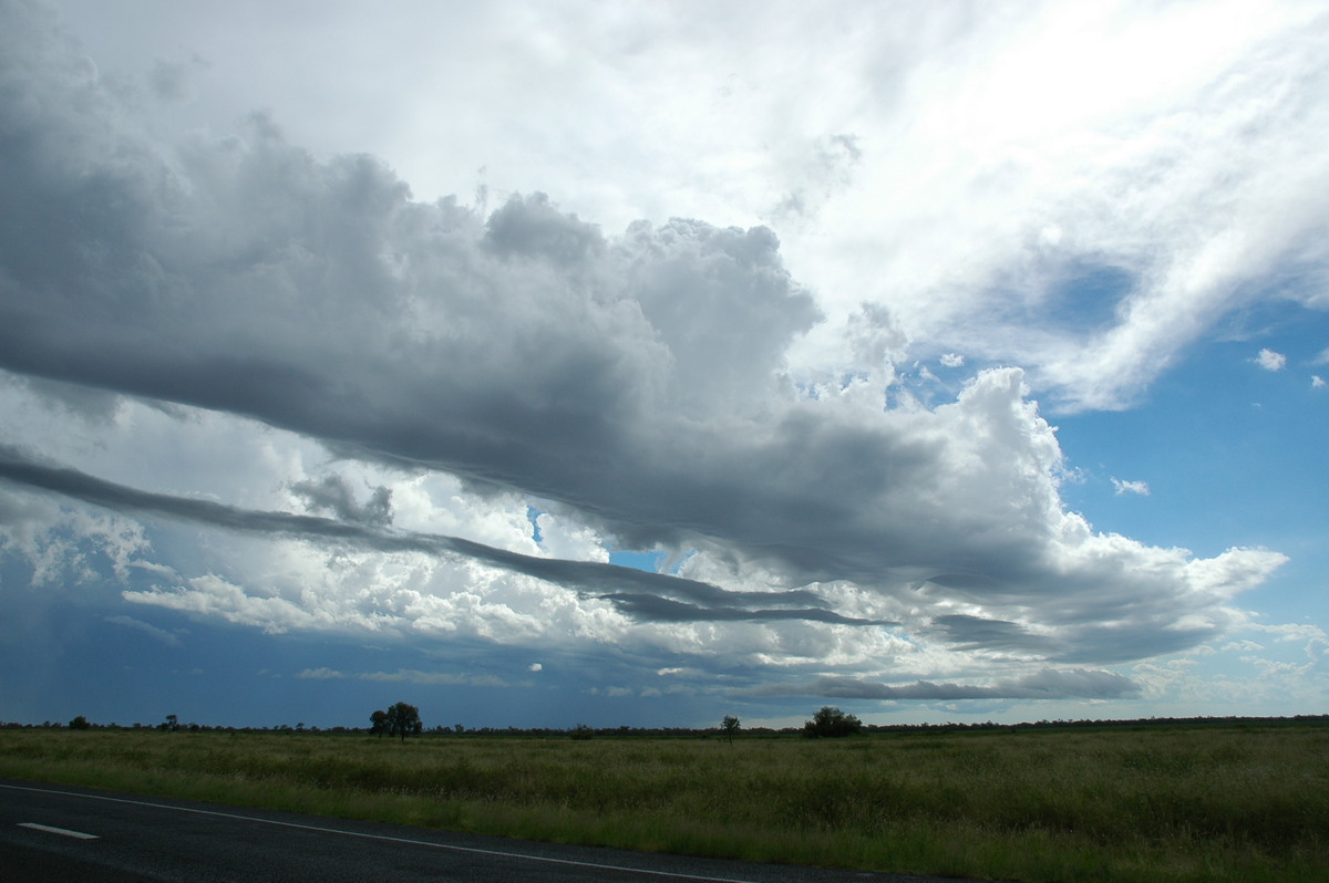 cumulus congestus : near Moree, NSW   27 December 2004