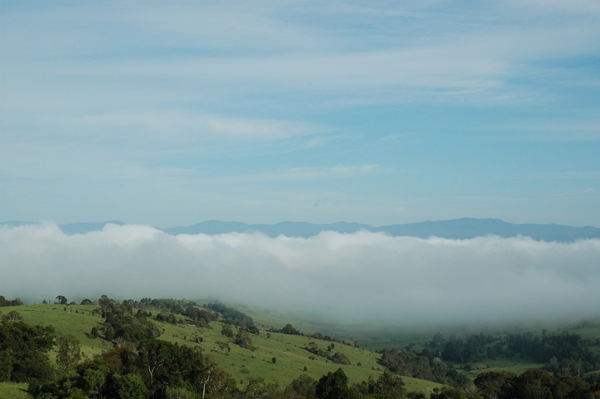 fogmist fog_mist_frost : McLeans Ridges, NSW   4 January 2005