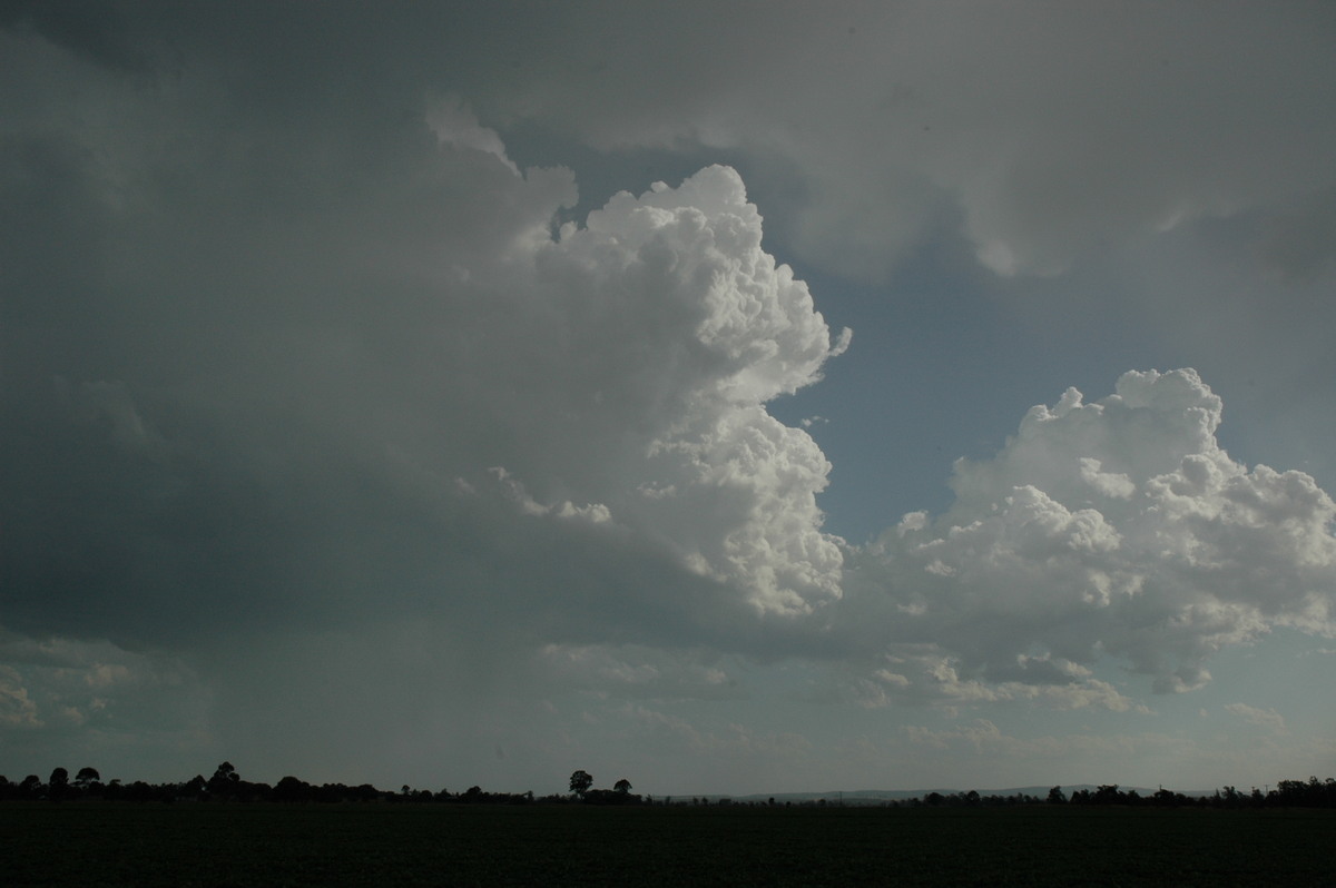 raincascade precipitation_cascade : N of Casino, NSW   21 January 2005