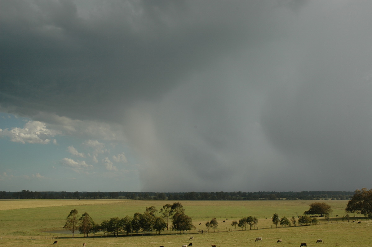 raincascade precipitation_cascade : Casino, NSW   21 January 2005