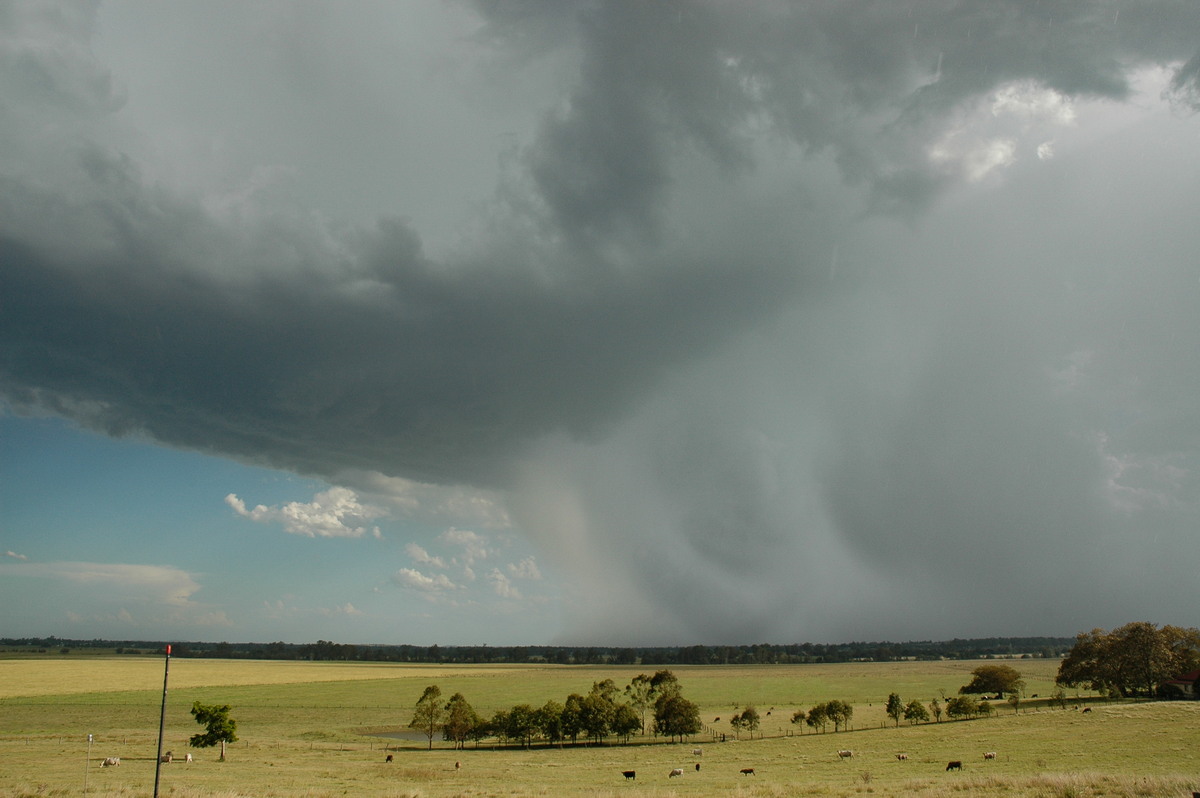 microburst micro_burst : Casino, NSW   21 January 2005