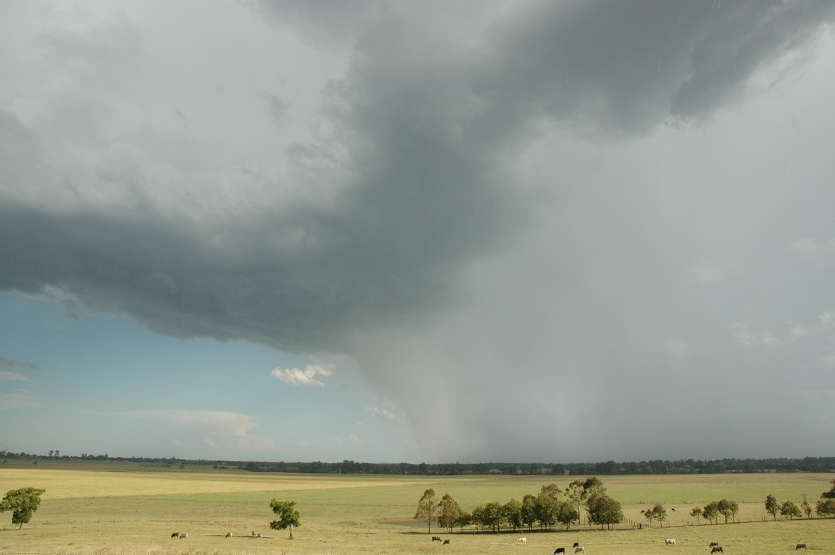 microburst micro_burst : Casino, NSW   21 January 2005