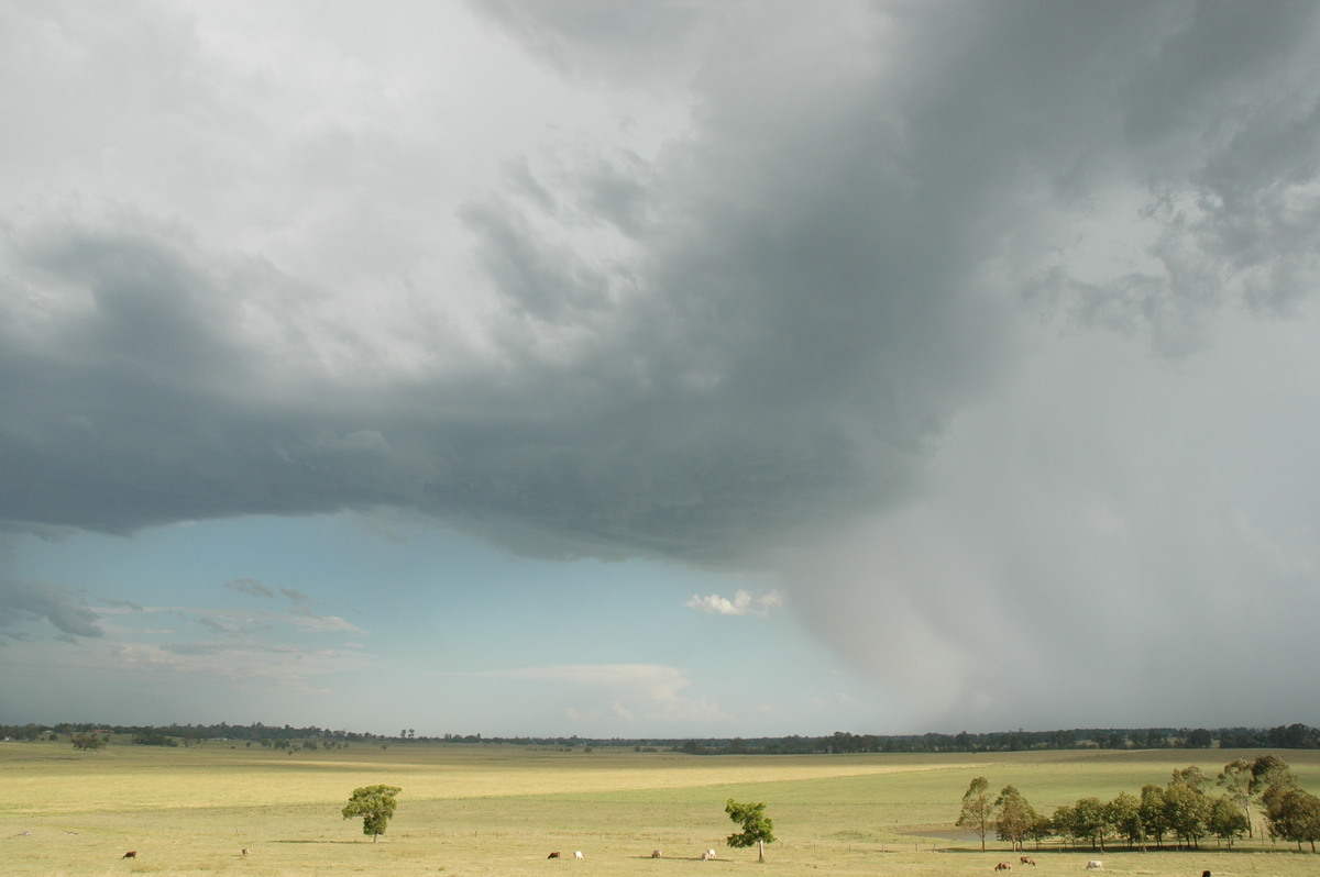 cumulonimbus thunderstorm_base : Casino, NSW   21 January 2005