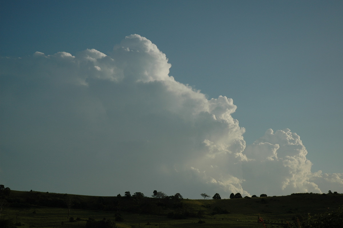 cumulus congestus : S of Lismore, NSW   21 January 2005