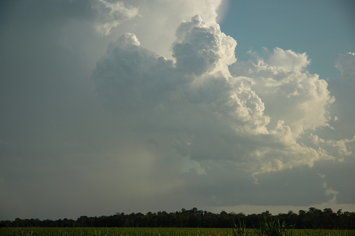 cumulus congestus : S of Lismore, NSW   21 January 2005