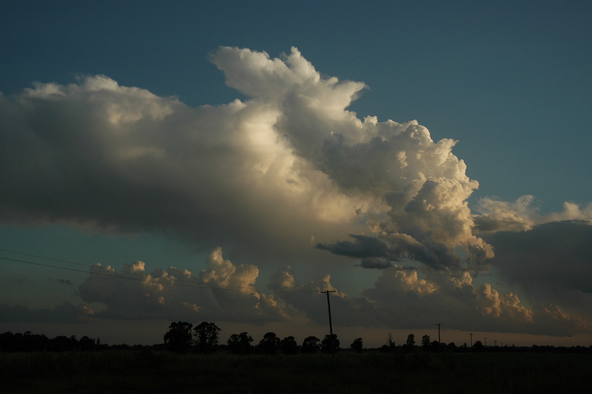 cumulus congestus : near Coraki, NSW   21 January 2005