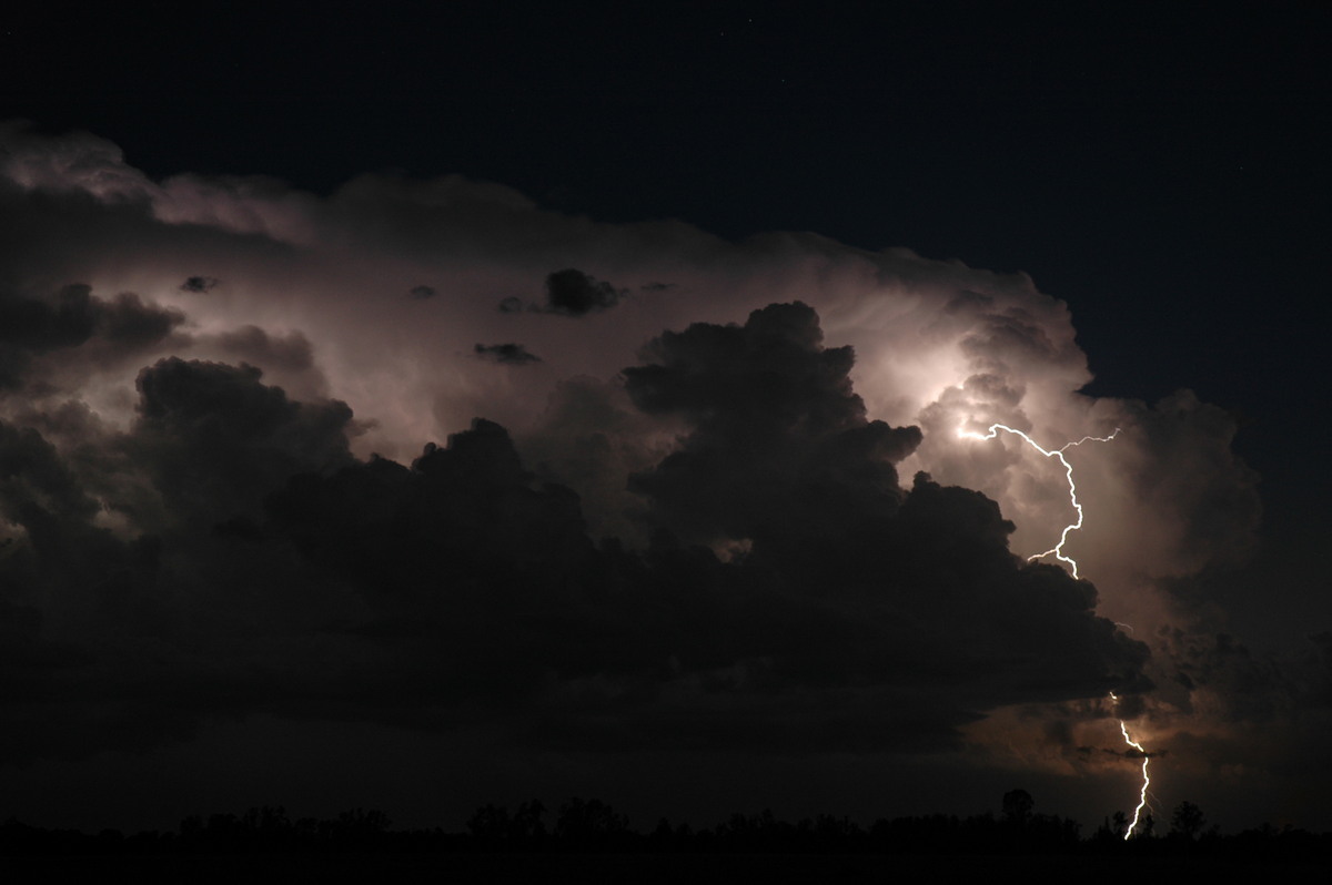 lightning lightning_bolts : Coraki, NSW   21 January 2005