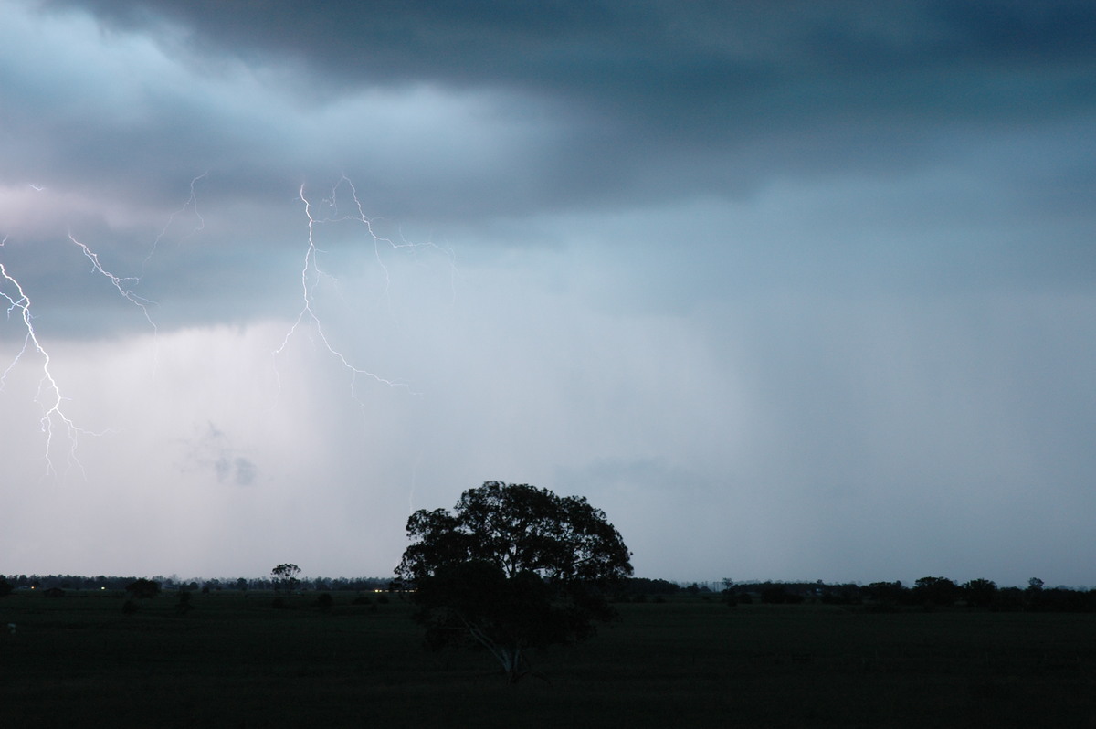 lightning lightning_bolts : McKees Hill, NSW   22 January 2005