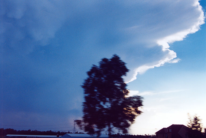 anvil thunderstorm_anvils : Penrith, NSW   1 February 2005