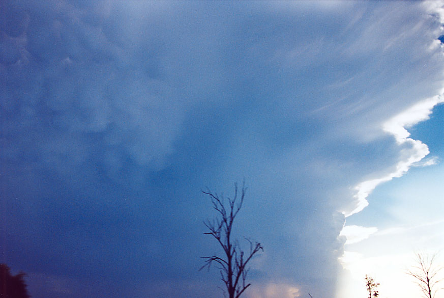 cumulonimbus supercell_thunderstorm : Penrith, NSW   1 February 2005