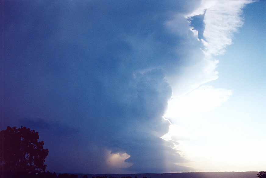 cumulonimbus supercell_thunderstorm : Penrith, NSW   1 February 2005