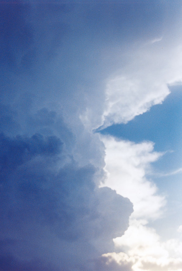 updraft thunderstorm_updrafts : Penrith, NSW   1 February 2005