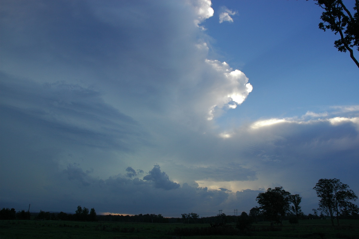 thunderstorm cumulonimbus_incus : Whiporie, NSW   2 February 2005