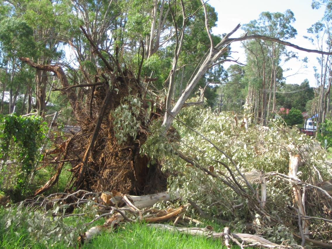 disasters storm_damage : Marsden Park, NSW   5 February 2005