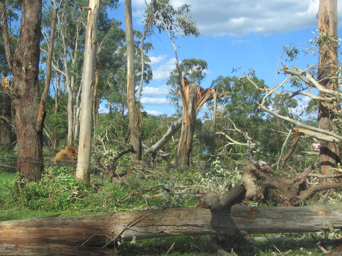 disasters storm_damage : Marsden Park, NSW   5 February 2005