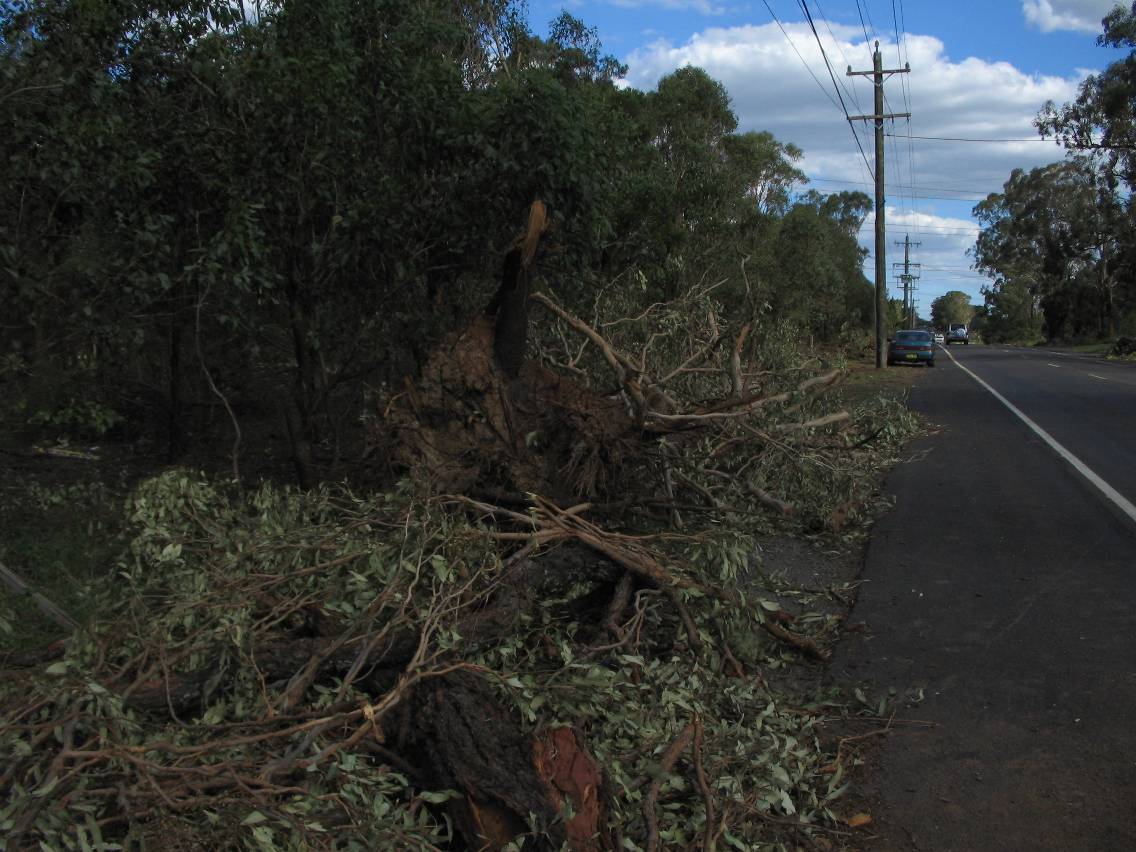 disasters storm_damage : Marsden Park, NSW   5 February 2005