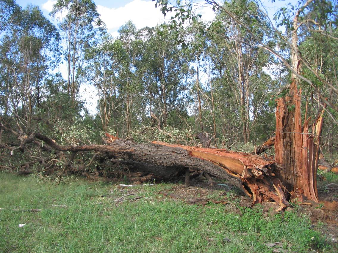 disasters storm_damage : Marsden Park, NSW   5 February 2005