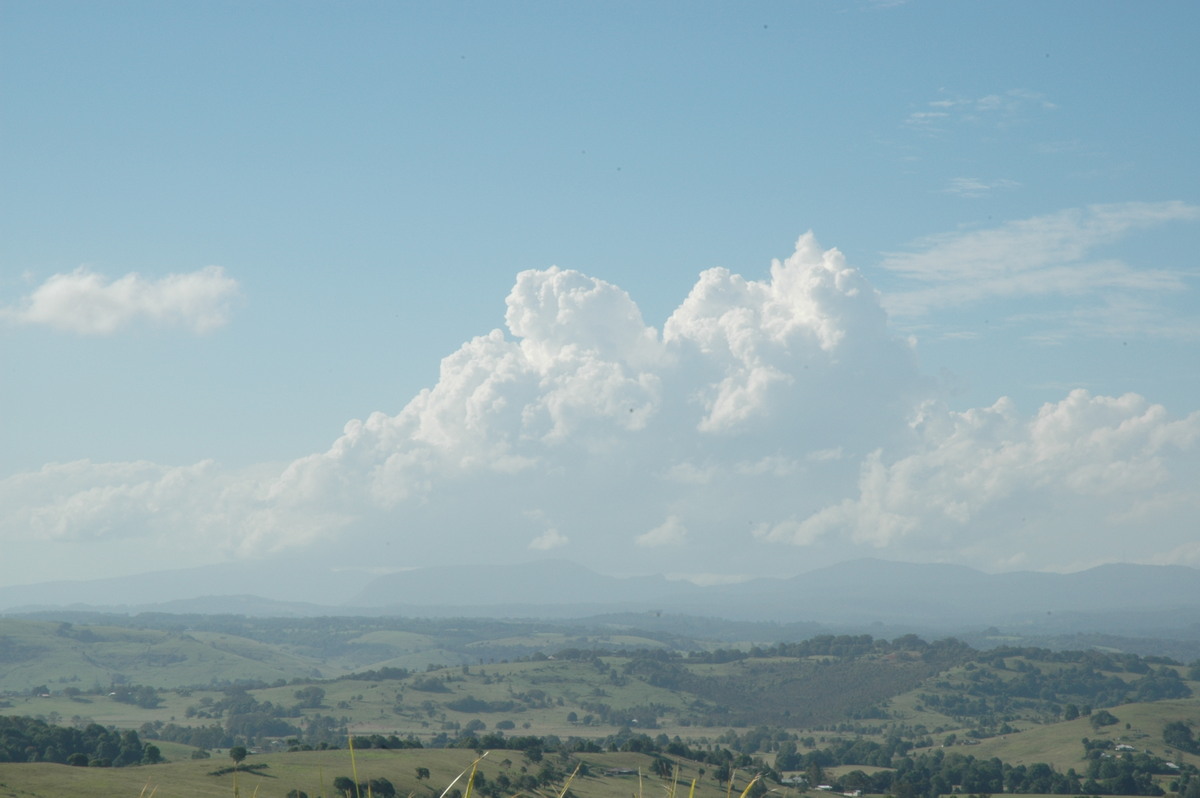 cumulus congestus : McLeans Ridges, NSW   6 February 2005