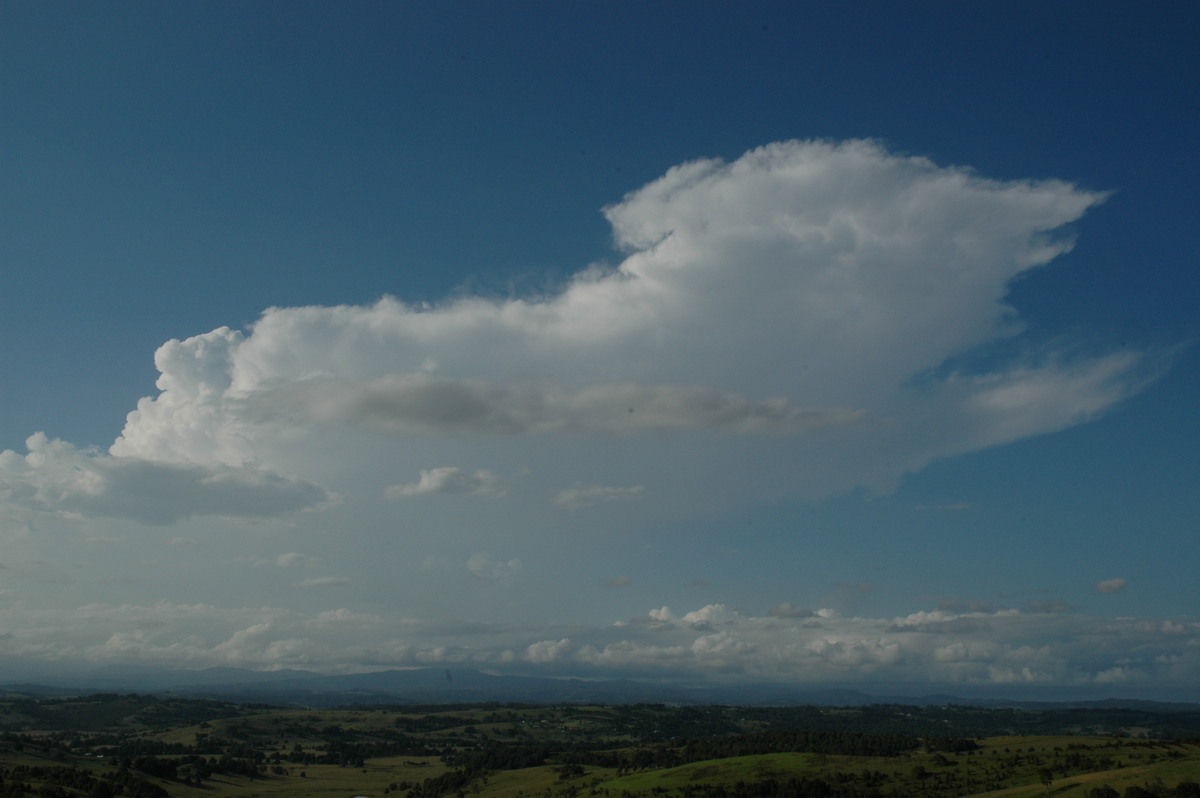 thunderstorm cumulonimbus_incus : McLeans Ridges, NSW   17 February 2005