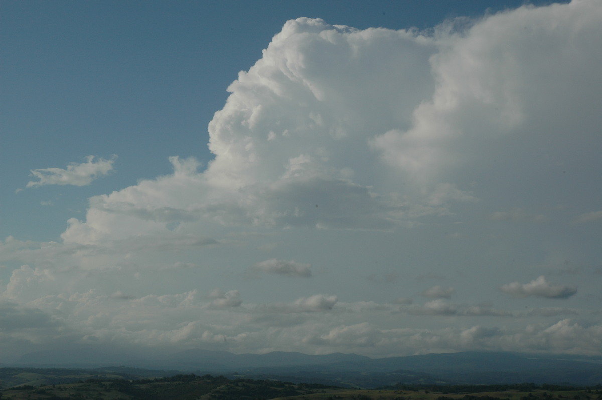 thunderstorm cumulonimbus_incus : McLeans Ridges, NSW   17 February 2005