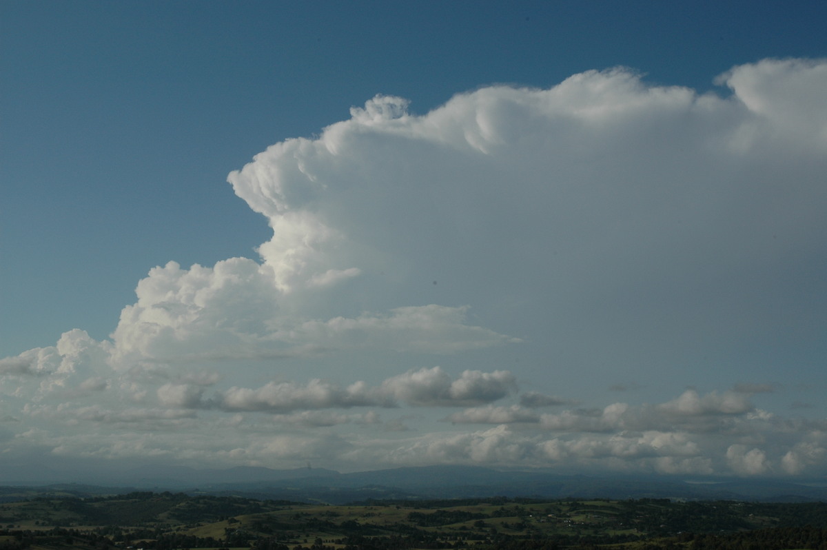 updraft thunderstorm_updrafts : McLeans Ridges, NSW   17 February 2005