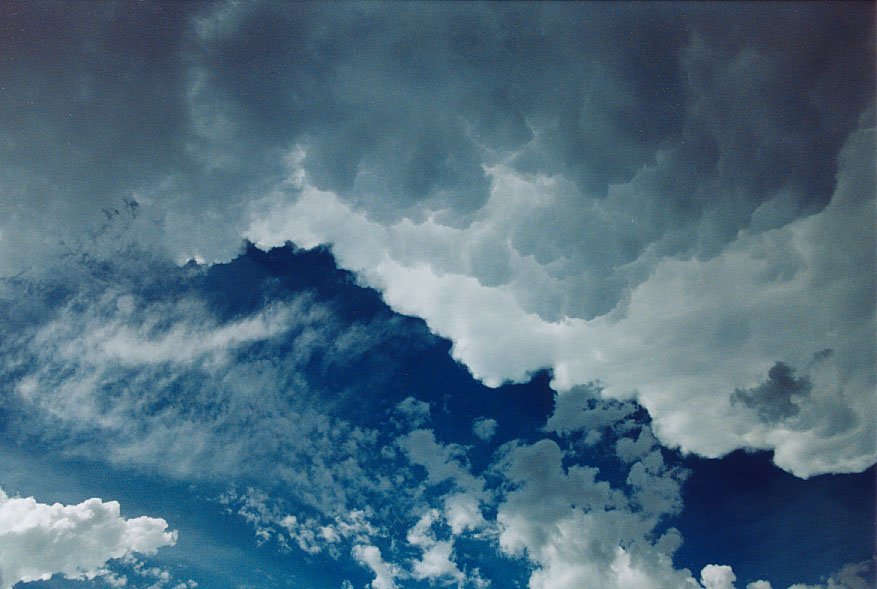 anvil thunderstorm_anvils : Castlereagh, NSW   19 February 2005