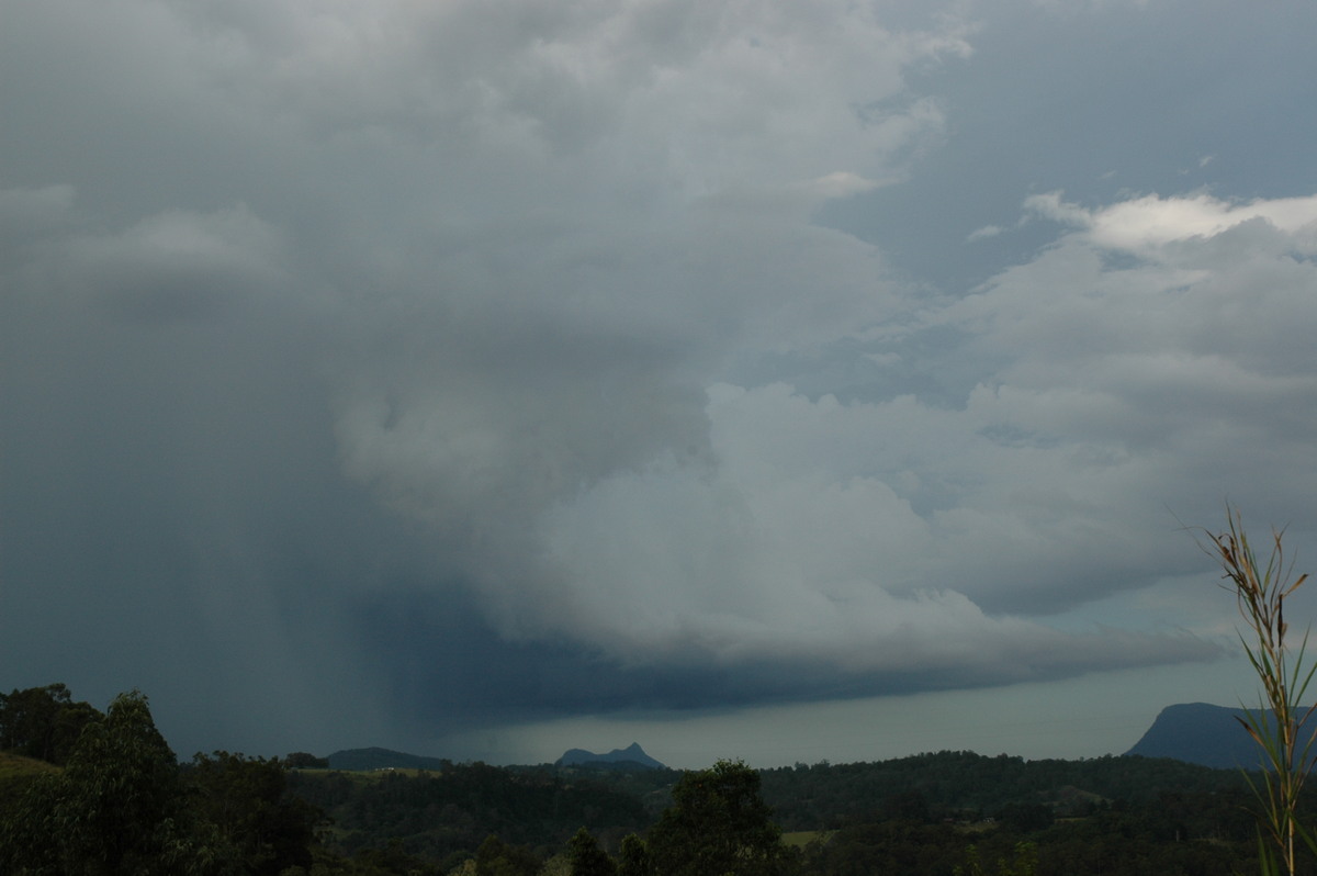 cumulonimbus thunderstorm_base : near Kyogle, NSW   22 February 2005