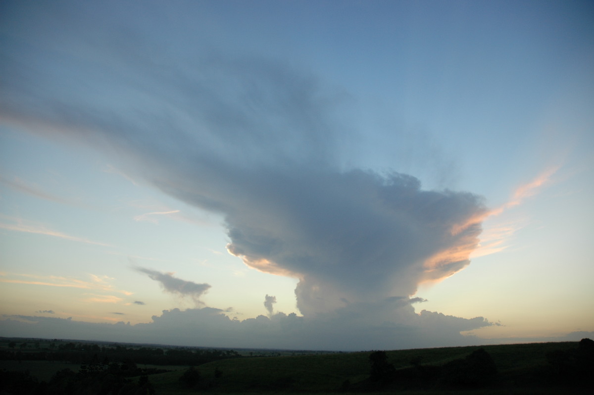 anvil thunderstorm_anvils : Parrots Nest, NSW   22 February 2005