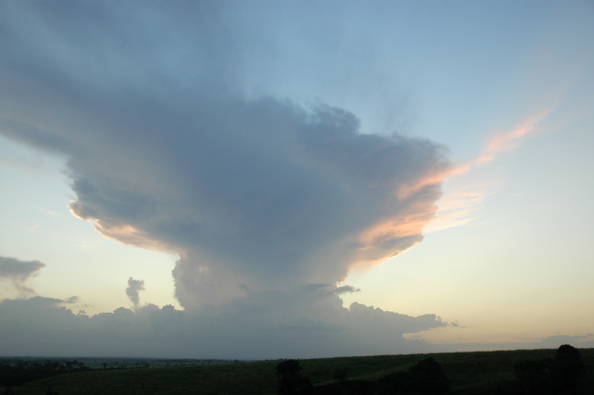 thunderstorm cumulonimbus_incus : Parrots Nest, NSW   22 February 2005