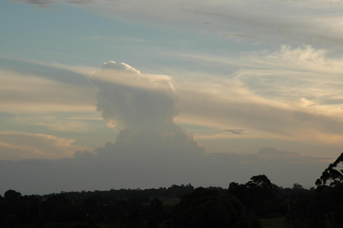 cumulus congestus : McLeans Ridges, NSW   23 February 2005