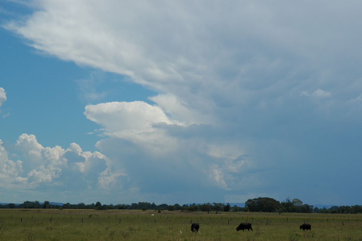 thunderstorm cumulonimbus_incus : McKees Hill, NSW   10 March 2005