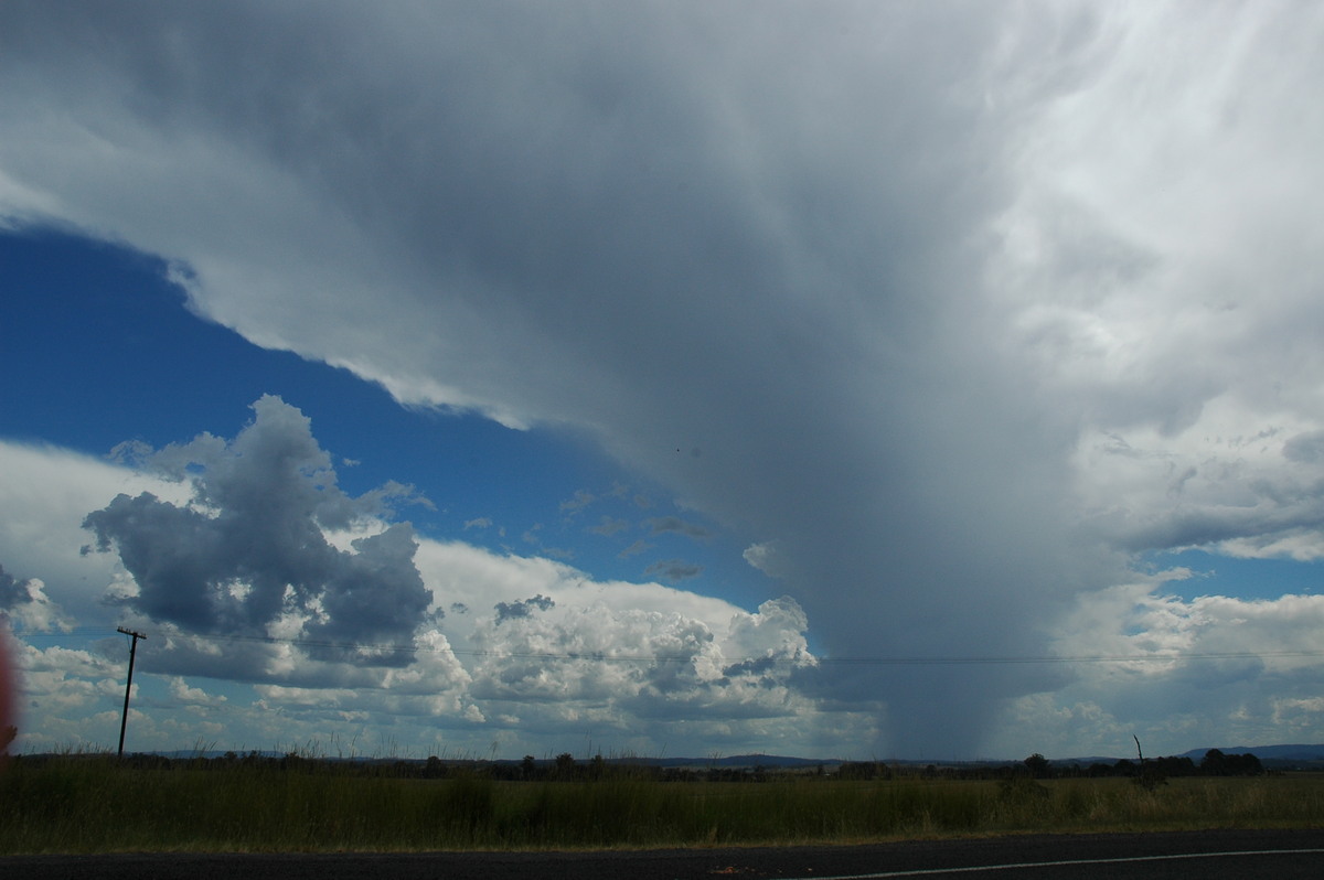 thunderstorm cumulonimbus_incus : Casino, NSW   10 March 2005