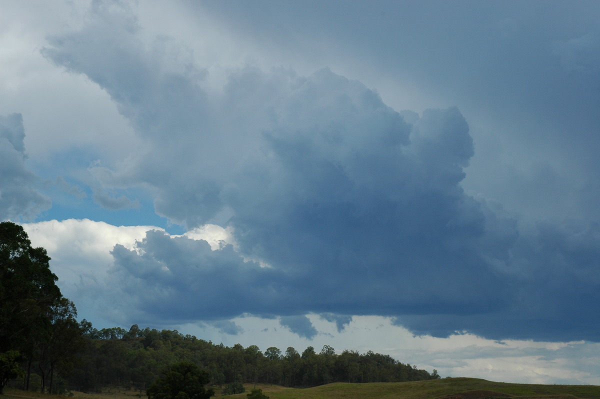 cumulus congestus : Mummulgum, NSW   10 March 2005