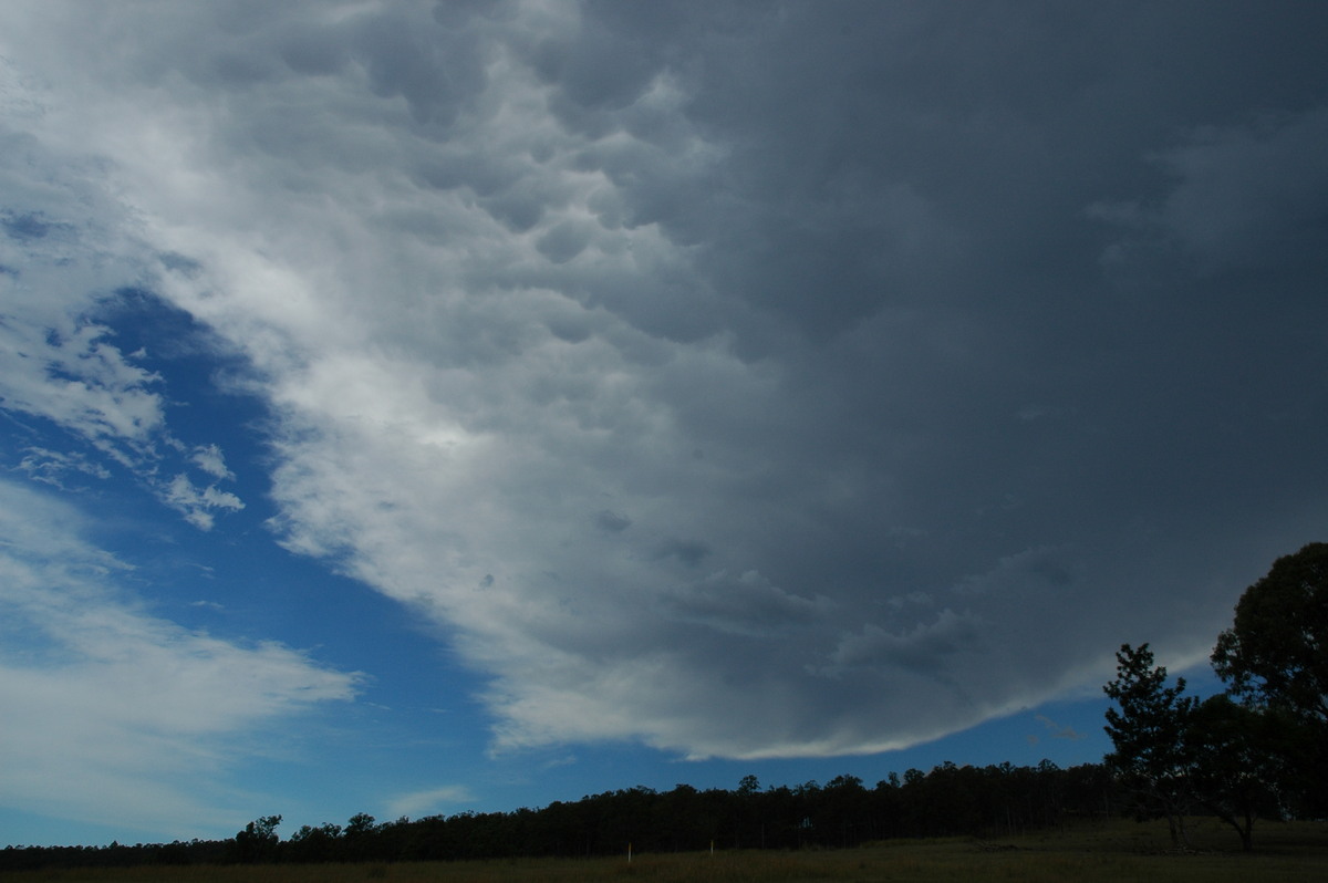 anvil thunderstorm_anvils : Mummulgum, NSW   10 March 2005