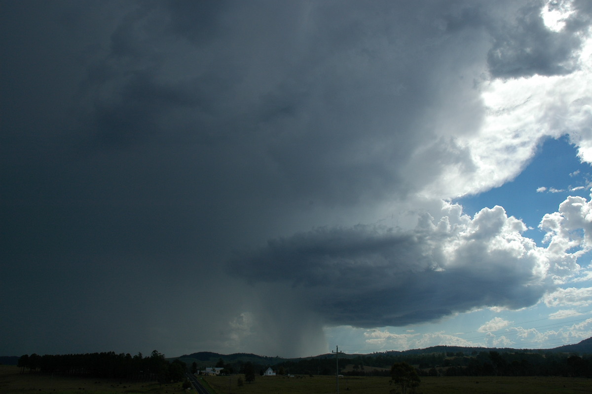 raincascade precipitation_cascade : Mummulgum, NSW   10 March 2005