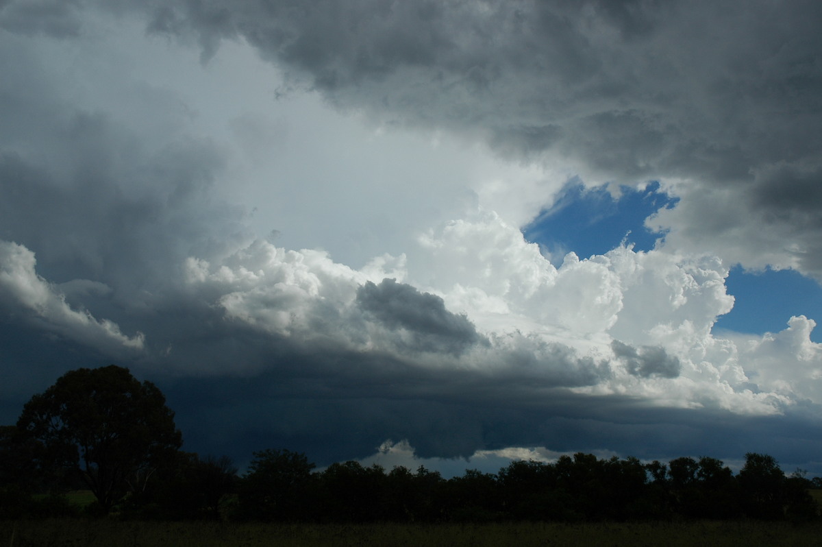 cumulonimbus thunderstorm_base : near Tabulam, NSW   10 March 2005