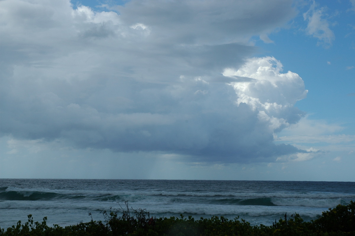 cumulus congestus : Ballina, NSW   26 March 2005