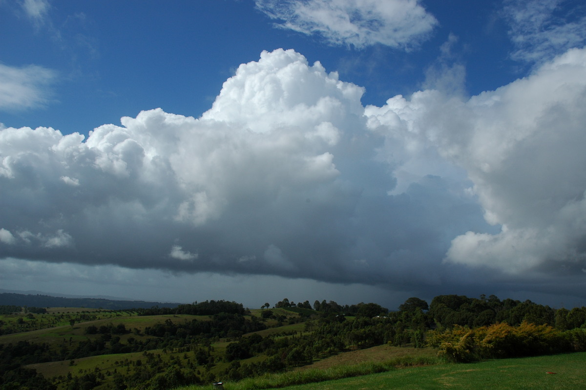 cumulus congestus : McLeans Ridges, NSW   8 April 2005