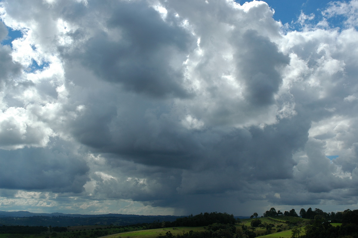 cumulus congestus : McLeans Ridges, NSW   26 April 2005