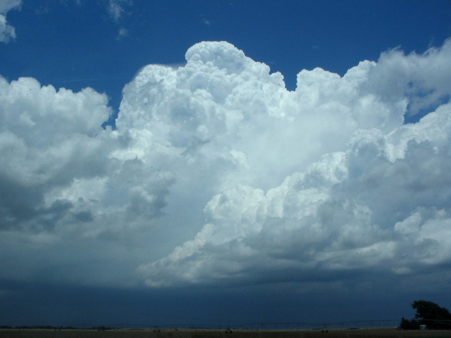 pileus pileus_cap_cloud : Bellview, New Mexico, USA   31 May 2005