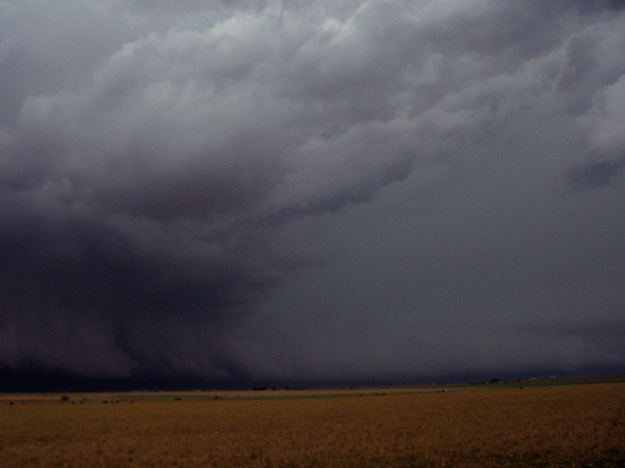 cumulonimbus supercell_thunderstorm : near Dimmit, Texas, USA   31 May 2005