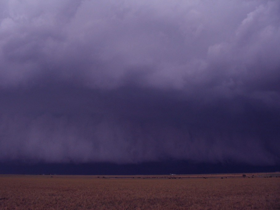 shelfcloud shelf_cloud : near Dimmit, Texas, USA   31 May 2005