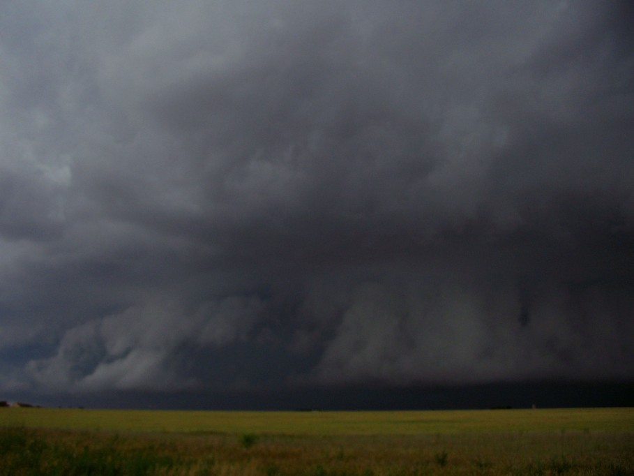 shelfcloud shelf_cloud : near Dimmit, Texas, USA   31 May 2005