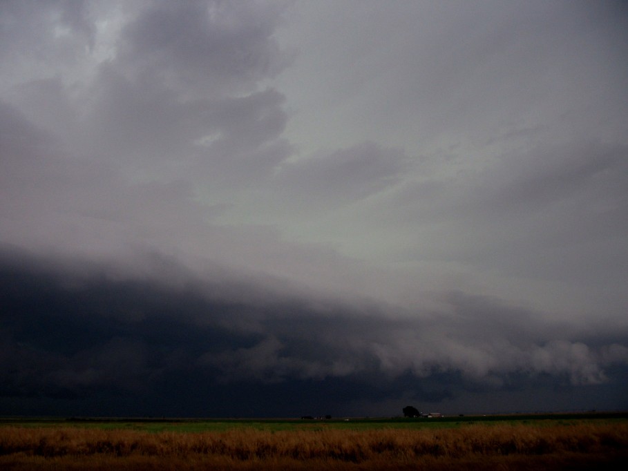 cumulonimbus supercell_thunderstorm : near Nazareth, Texas, USA   31 May 2005