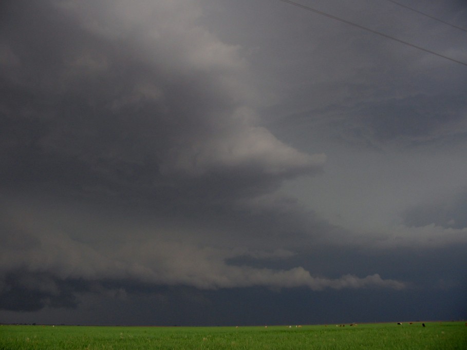 cumulonimbus thunderstorm_base : near Littlefield, Texas, USA   31 May 2005