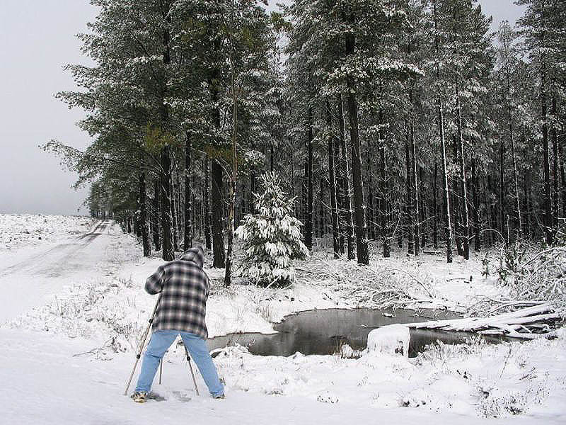 snow snow_pictures : near Oberon, NSW   10 July 2005