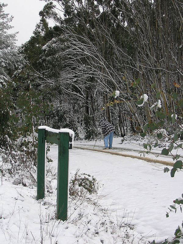 snow snow_pictures : near Oberon, NSW   10 July 2005