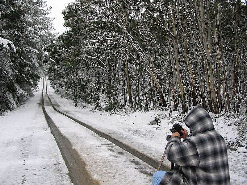 snow snow_pictures : near Oberon, NSW   10 July 2005