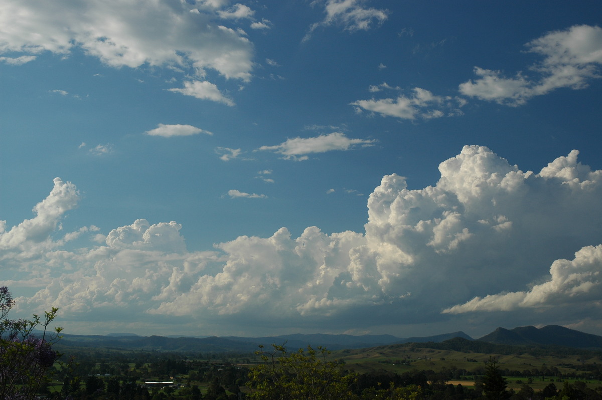 cumulus congestus : Kyogle, NSW   25 October 2005